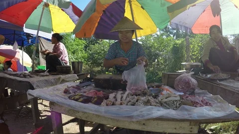 Asia Stock Footage 88007186