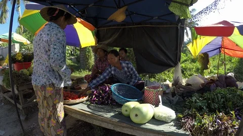 Asia Stock Footage 88007321