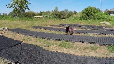 Asia Stock Footage 88008072