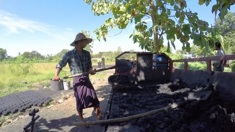 Asia Stock Footage 88008075