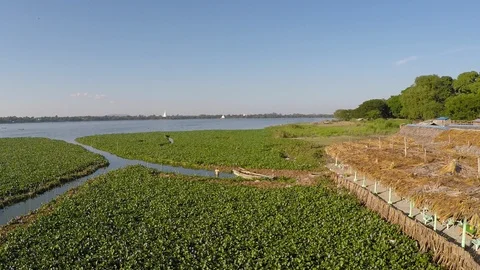 Asia 스톡 동영상 88008901