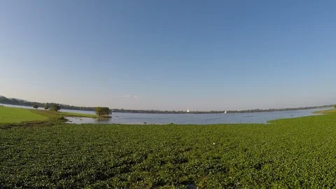 Asia Stock Footage 88009092