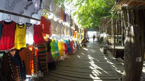 Asia 스톡 동영상 88009362