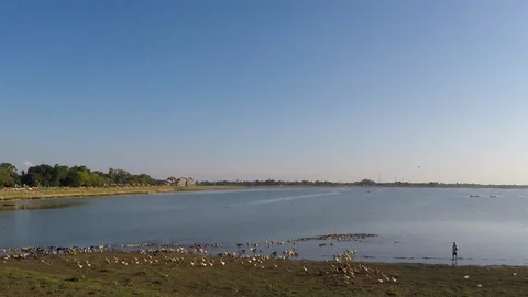 Asia Stock-Footage 88009604