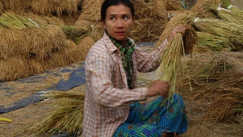 Asia Stock Footage 88055444