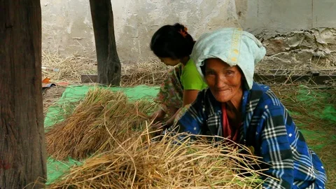 Asia Stock-Footage 88055460