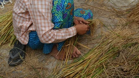 Asia Stock-Footage 88055567