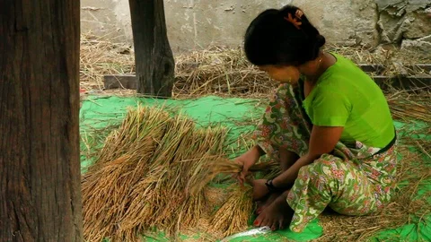 Asia Stock-Footage 88055593