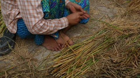 Asia Stock-Footage 88055601