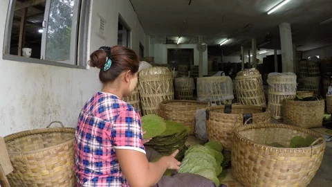 Asia Stock-Footage 88056224