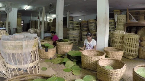 Asia Stock-Footage 88056267