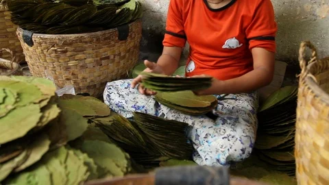 Asia Stock-Footage 88058709