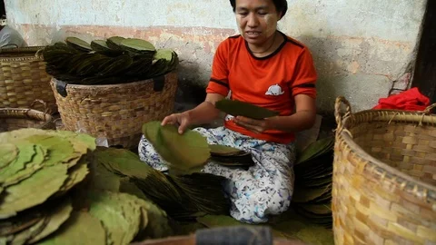 Asia Stock-Footage 88058813