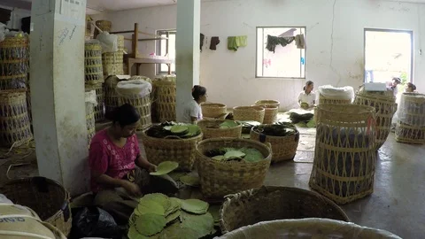 Asia Stock Footage 88058940