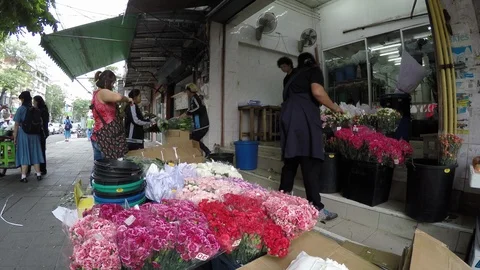 Asia Stock Footage 88101233