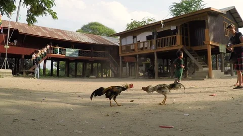 Asia Stock Footage 88143991