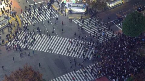 Asia, Japan, Tokyo, Shibuya, Shibuya Crossing - crowds of people Stock Footage