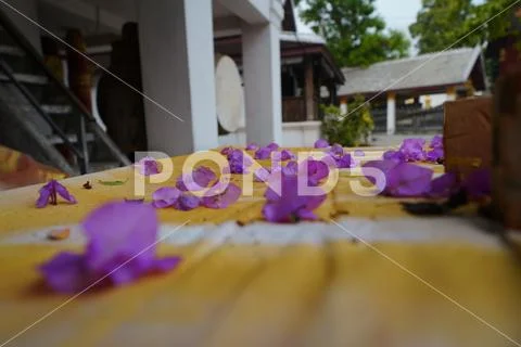 Asia Laos Luang Prabang Places of Worship Wat Sene 20190316 03162019 063 Stock Photos