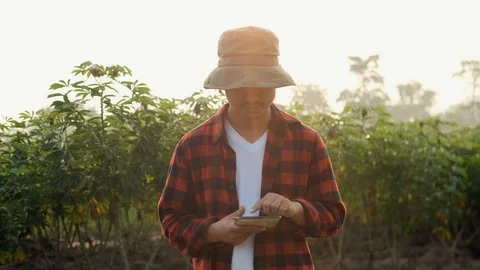 Asia man farmer using digital tablet recording data in cassava field. Stock Footage 118474669