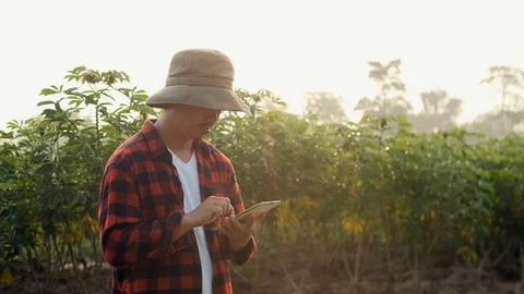 Asia man farmer using digital tablet recording data in cassava field. Stock Footage 118478864