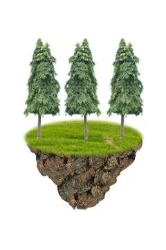 Asia pines. Stock Photos