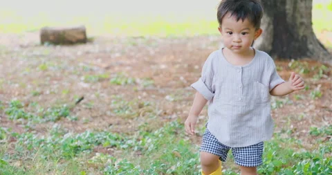 Asian 2 year toddler boy walking on grass treee forest Stock Footage 142811308