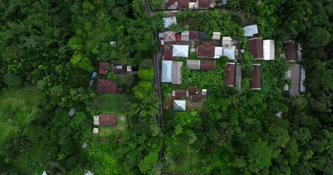 Asian asphalt road through tropical village in rainforest. Top down aerial view. Stock Footage 310401853