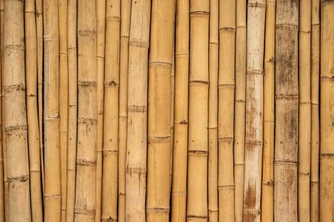 Asian bamboo background surface Stock Photos