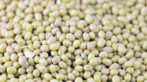 Asian beans on a plate Stock Footage 119487406