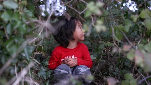 As Asian boy crouching down in the woods and looking around. Stock Footage 171148803