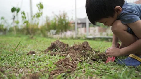 Asian boy digging soil for planting a small plant Stock Footage 131133017
