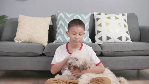 Asian boy  with a dog. Stock-Footage 155738119