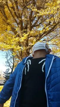 Asian boy with face mask looking up in front of yellow leaves tree. Stock Photos