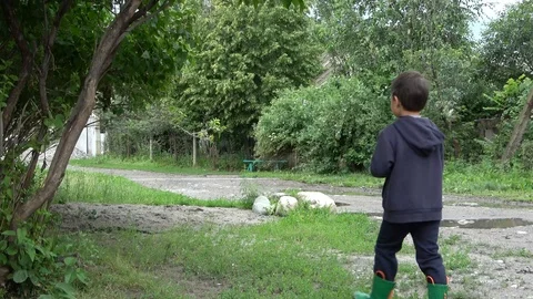 Asian boy in the forest Stock Footage 110751259