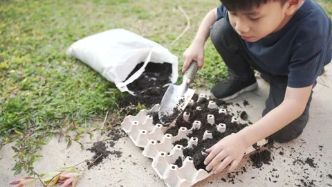 Asian boy puts soil to the egg carton tray Video stock 148643870
