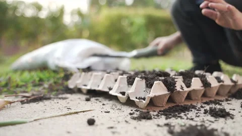 Asian boy puts soil to the egg carton tray Video stock 160277770