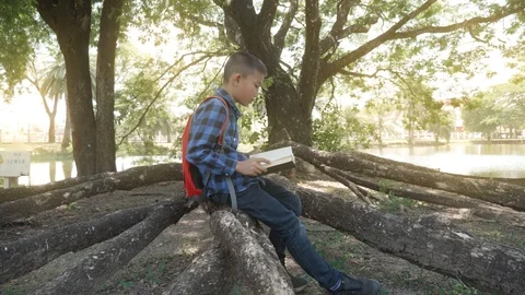 Asian boy reading a book while sitting under a tree in the park. Stock Footage 118877088
