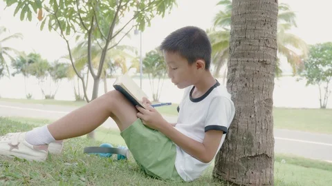 Asian boy reading a book while sitting in the park. Stock Footage 119694336