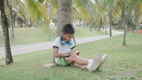 Asian boy reading a book while sitting in the park. Stock Footage 119694369