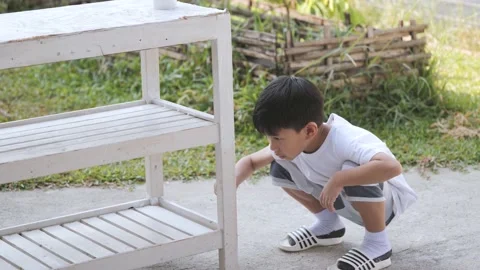 Asian boy using brush and white color for repairing old shelves. Video stock 236821072