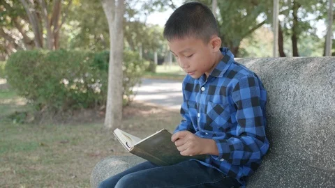 Asian, boy writes in a notebook  sitting on a bench in the Park Stock Footage 118875103