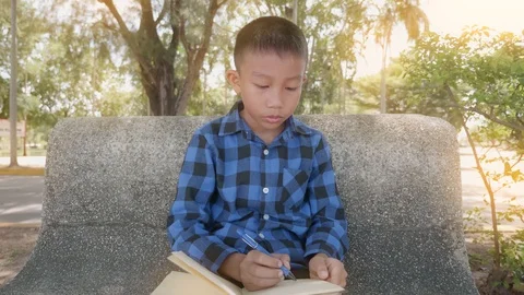 Asian, boy writes in a notebook  sitting on a bench in the Park Stock Footage 118875222