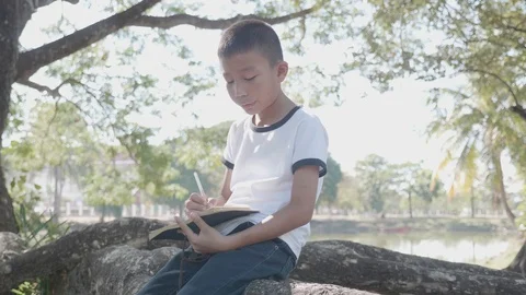 Asian boy writes in a notebook  sitting  in the Park Stock Footage 127185946