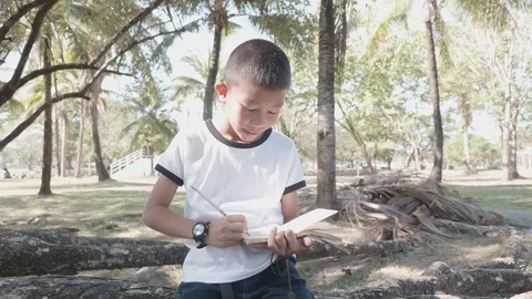 Asian boy writes in a notebook  sitting  in the Park Stock Footage 127186198