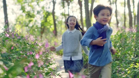 Asian brother and sister running through flower blossom field Stock Footage