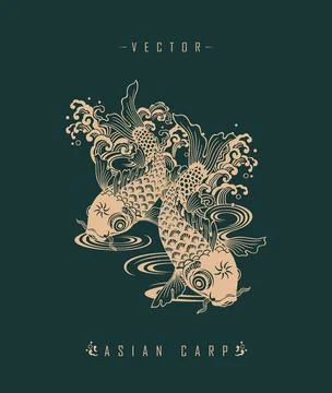 Asian Carp Art Pattern Chinese Carp Stock Illustration