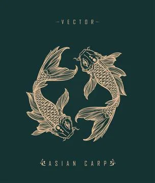 Asian Carp Art Pattern Chinese Carp Stock Illustration