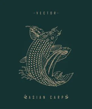Asian Carp Art Pattern Chinese Carp Illustrazione stock