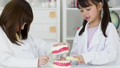 Asian Children in Lab Coats Learning Dental Hygiene with Tooth Model Stock Footage 341074166