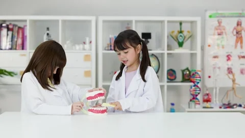 Asian Children in Lab Coats Learning Dental Hygiene with Tooth Model Stock Footage 341917243